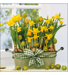 Napkin 33 Daffodils FSC Mix