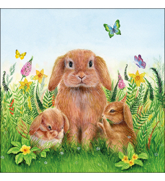 Napkin 33 Rabbit family FSC Mix