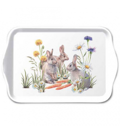 Tray melamine 13x21 cm Carrot treat