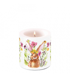 Candle small Girl bunny