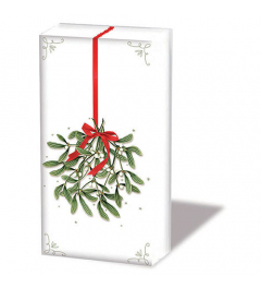 Hdkf Mistletoe with bow white