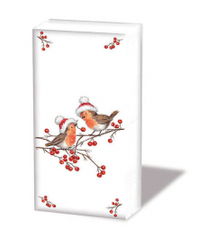 Hdkf Christmas robins white