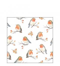 Napkin 25 Robin family FSC Mix