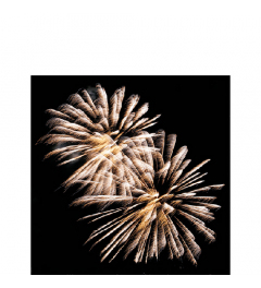 Napkin 25 Golden firework FSC Mix