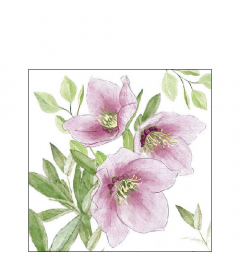 Napkin 25 Classic helleborus FSC Mix