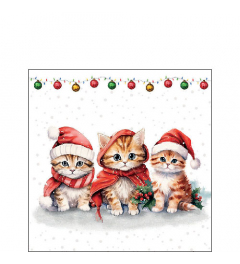 Napkin 25 Funny cute kittens FSC Mix