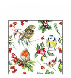 Napkin 25 Birds in winter FSC Mix
