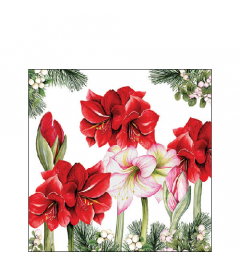 Napkin 25 Blooming amaryllis white FSC Mix