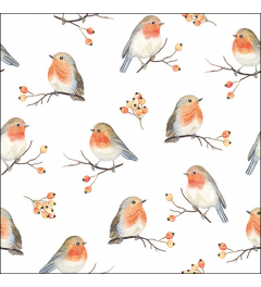 Napkin 33 Robin family FSC Mix