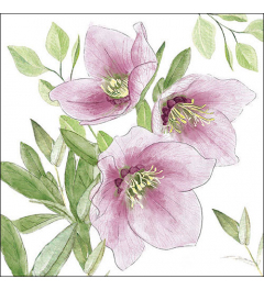 Napkin 33 Classic helleborus FSC Mix