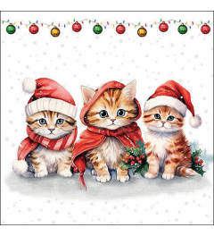 Napkin 33 Funny cute kittens FSC Mix