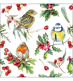 Napkin 33 Birds in winter FSC Mix