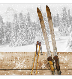 Napkin 33 Retro ski FSC Mix