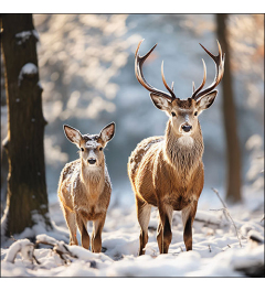 Napkin 33 Deer in the forest FSC Mix