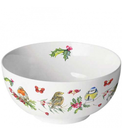 Bowl Birds in winter