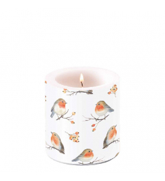 Candle small Robin family