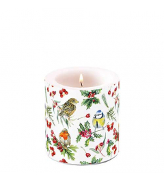Candle small Birds in winter