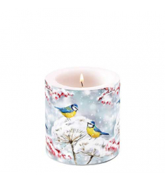Candle small Birds in the snow