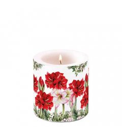 Candle small Blooming amaryllis white