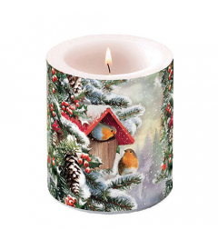 Candle medium House with robins