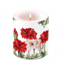 Candle medium Blooming amaryllis white