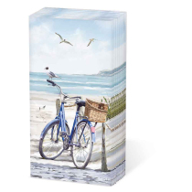 Hdkf Bike at the beach
