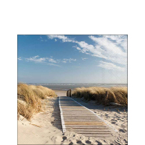 Napkin 25 Walking to the sea FSC Mix