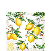 Napkin 25 Citrus FSC Mix