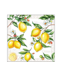 Napkin 25 Citrus FSC Mix