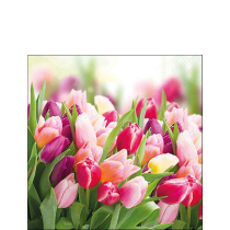 Napkin 25 Glorious tulips FSC Mix