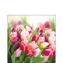 Napkin 25 Glorious tulips FSC Mix