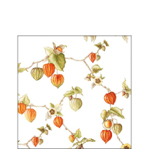 Napkin 25 Lampion FSC Mix