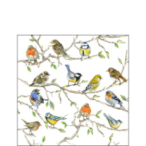 Napkin 25 Birds meeting FSC Mix