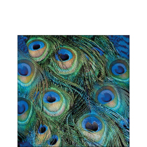 Napkin 25 Peacock feathers FSC Mix