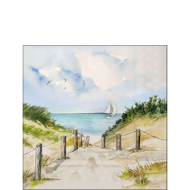 Napkin 25 Dune path FSC Mix