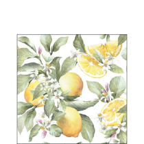 Napkin 25 Limoni FSC Mix