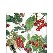 Napkin 25 Fresh fruits FSC Mix