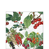 Napkin 25 Fresh fruits FSC Mix