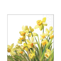 Napkin 25 Golden daffodils FSC Mix