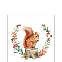 Napkin 25 Storing for winter FSC Mix