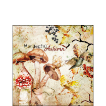 Napkin 25 Wonderful autumn FSC Mix