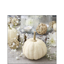 Napkin 25 Modern pumpkin FSC Mix