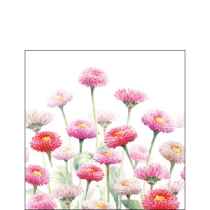 Napkin 25 Painted bellis FSC Mix