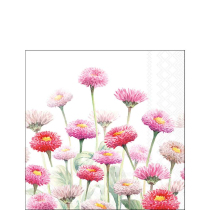 Napkin 25 Painted bellis FSC Mix