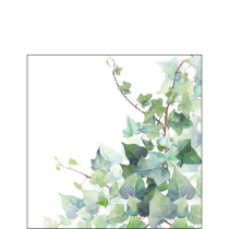 Napkin 25 Hedera white FSC Mix