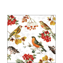 Napkin 25 Autumn birds FSC Mix