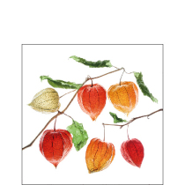 Napkin 25 Lampion flower FSC Mix