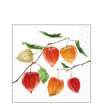 Napkin 25 Lampion flower FSC Mix