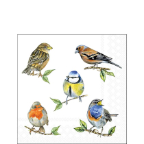 Napkin 25 Bird species white FSC Mix