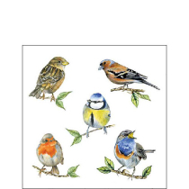 Napkin 25 Bird species white FSC Mix